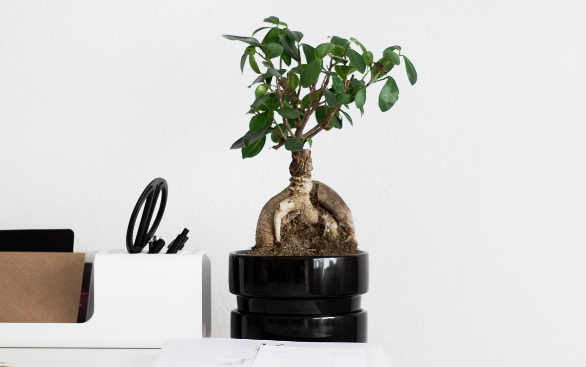 En iyi yazarlara ait tasarımcı kitapları